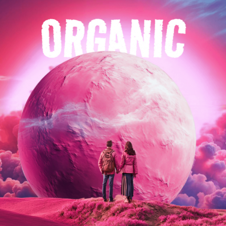 Website Organic